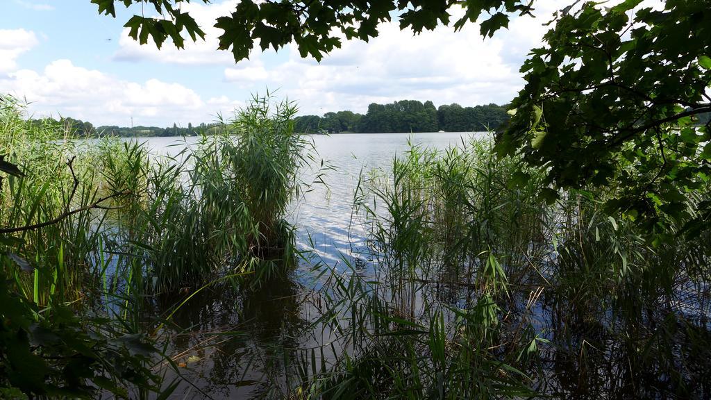 Ferienhaus Natura Neuruppin Cameră foto