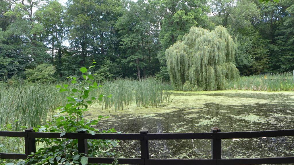 Ferienhaus Natura Neuruppin Cameră foto