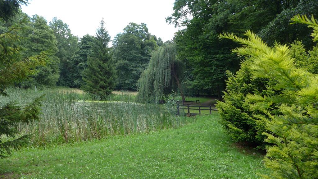 Ferienhaus Natura Neuruppin Cameră foto