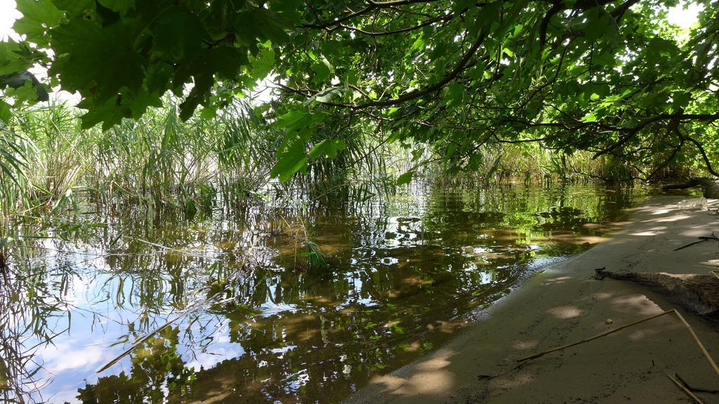 Ferienhaus Natura Neuruppin Cameră foto