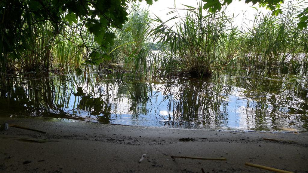 Ferienhaus Natura Neuruppin Cameră foto