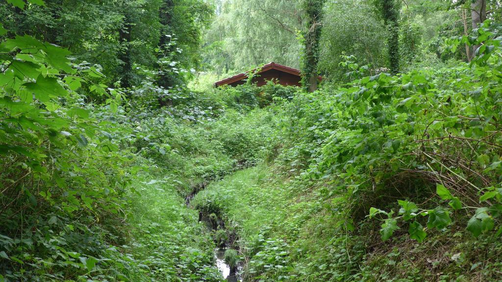 Ferienhaus Natura Neuruppin Cameră foto
